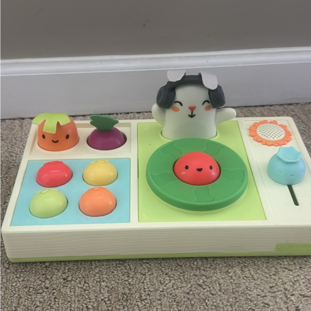 Skip Hop Multicolor Interactive Toy Set